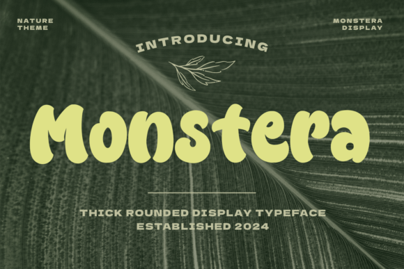 Monstera: A Bold and Playful Display Font